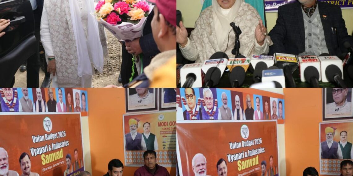 ‘Next Financial Year to Give Meaningful Direction to Indian Economy’: Darakhshan Andrabi
