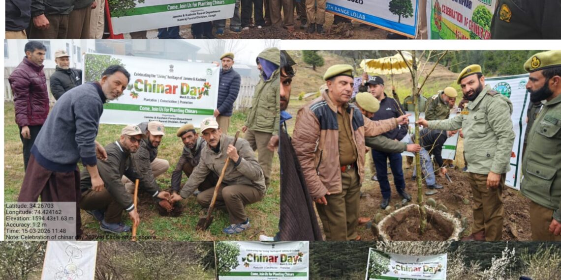Chinar Day Celebrated by Forest Division Kamraj with Great Enthusiasm.
