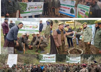 Chinar Day Celebrated by Forest Division Kamraj with Great Enthusiasm.