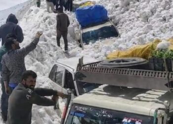 6 Dead After Avalanche Hits Vehicle at Zojila Pass; Rescue Ops Continue