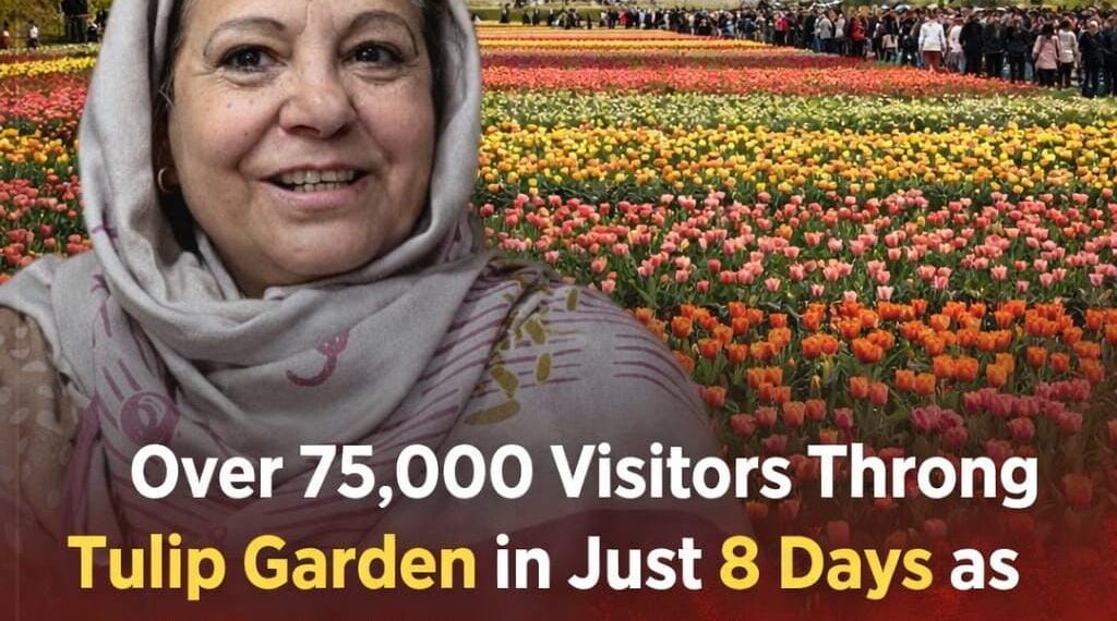 “Over 75,000 Visitors Throng Tulip Garden in Just 8 Days as Footfall Surges”: Director Floriculture Kmr