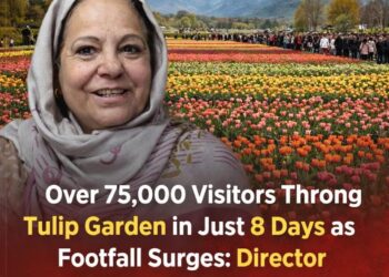 “Over 75,000 Visitors Throng Tulip Garden in Just 8 Days as Footfall Surges”: Director Floriculture Kmr
