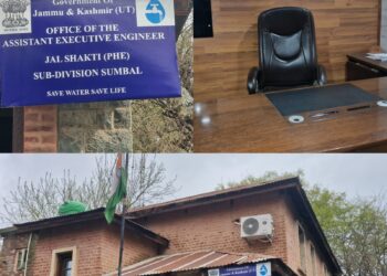 Residents Demand Permanent AEE for Sumbal Sub-Division; Former Chairman Appeals to Government