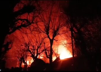 Massive Blaze Engulfs Three Hotel Structures in Pahalgam; Firefighting Operation Underway