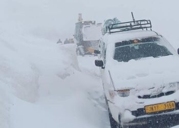 Several Vehicles Trapped Near Sinthan Top After Heavy Snowfall; Rescue Team Rushed to Spot
