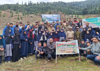 Plantation Drive Held at Lashtiyal Beat to Promote Green Environment