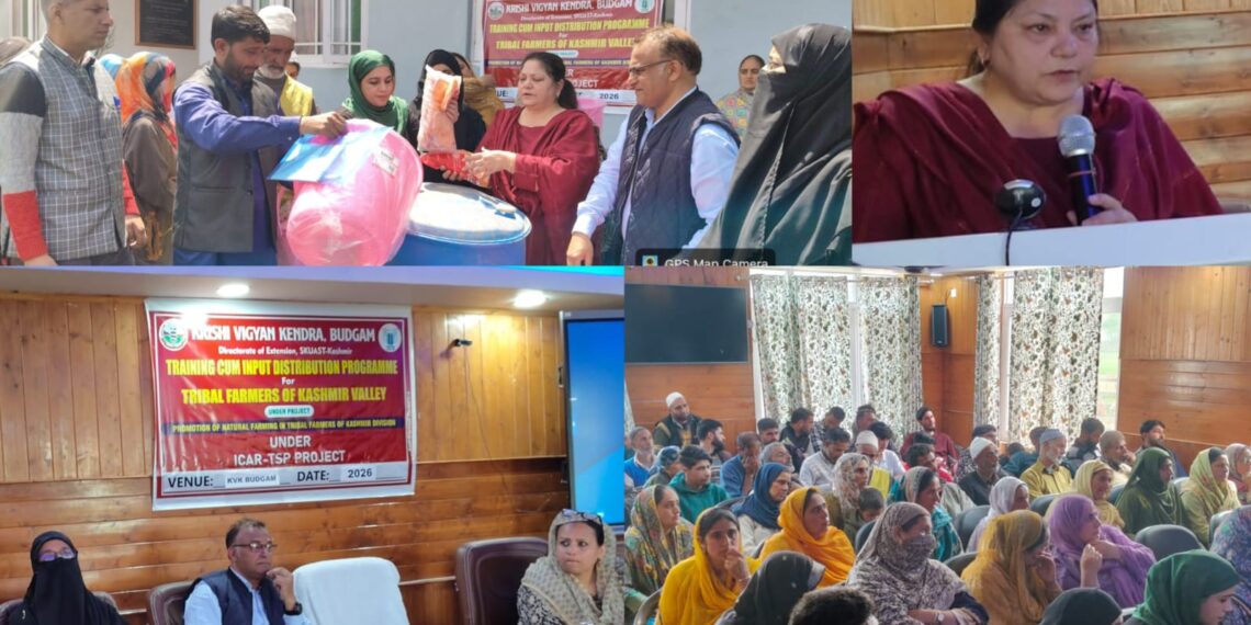 KVK Budgam Boosts Tribal Farming with Natural Farming Drive, Input Support Under TSP Programme