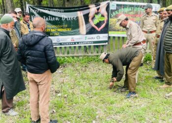 Kashmir Bat Industry Gets Green Boost as Willow Plantation Drive Gains Momentum
