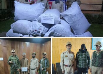 Major Drug Bust in Anantnag: Four Arrested, 166 Kg Contraband Recovered