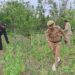 Hajin Crackdown: Illegal Poppy Crop Uprooted in Anti-Drug Operation, FIR Registered