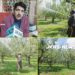 PGR use during bloom stage not advised, warns horticulture department