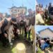 Lal Chowk Constituency Marks 47th Foundation Day with Gaon Chalo Abhiyan