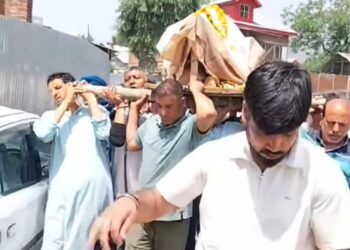 Hundreds of Muslims, Sikhs Participate in Last Rites of Kashmiri Pandit Woman in Tral Village