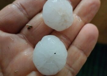 Hailstorm Wreaks Havoc on Apple Orchards, Paddy Fields in North Kashmir
