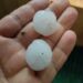 Hailstorm Wreaks Havoc on Apple Orchards, Paddy Fields in North Kashmir