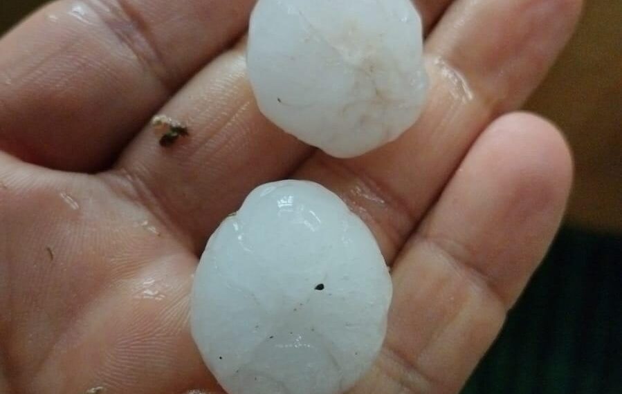 Hailstorm Wreaks Havoc on Apple Orchards, Paddy Fields in North Kashmir