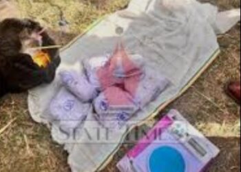 Drone-Dropped Heroin Consignment Seized Near IB in Jammu’s Bishnah Sector