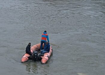 Unidentified Person Jumps Into Jhelum From Budshah Bridge in Srinagar; Rescue Operation Launched