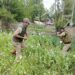 Poppy Cultivation Destroyed in Srinagar During Anti-Drug Drive