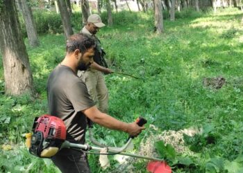 Srinagar Police Launches Crackdown on Wild Bung Cultivation Under ‘Nasha Mukt J&K Abhiyaan’