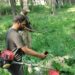 Srinagar Police Launches Crackdown on Wild Bung Cultivation Under ‘Nasha Mukt J&K Abhiyaan’