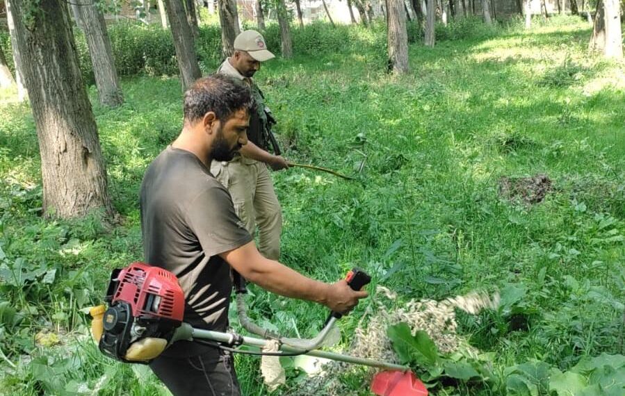 Srinagar Police Launches Crackdown on Wild Bung Cultivation Under ‘Nasha Mukt J&K Abhiyaan’