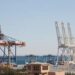 Gwadar’s Container Boom Masks Deeper Structural and Strategic Risks