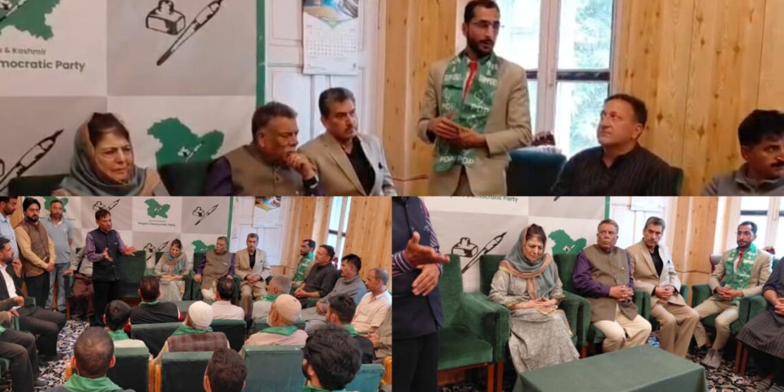 Young Social Activists and Columnists from Karnah Join Jammu & Kashmir Peoples Democratic Party in Srinagar