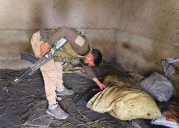 Special Anti-Narcotics Operation Launched in Yaripora; K9 Squad Deployed Under Nasha Mukt Bharat Abhiyaan