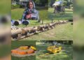 From Scrap to Spectacle: Floriculture Department Unveils Eco-Art Garden at Srinagar’s Iconic City Square