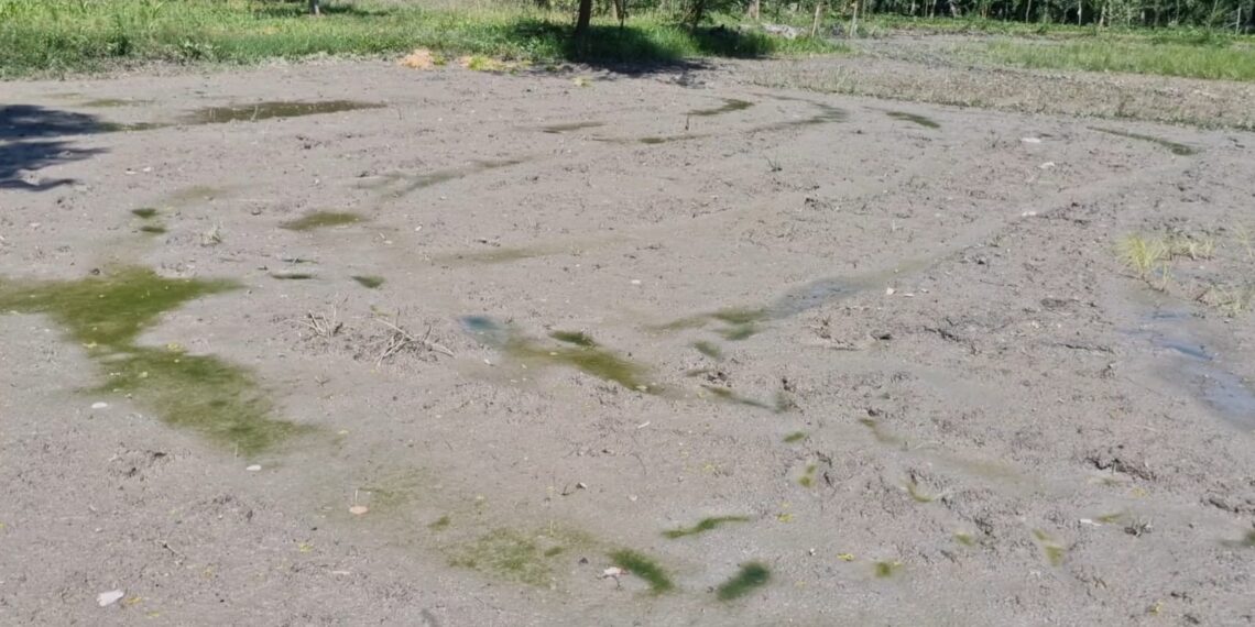 Water Scarcity Hits Sonawari’s Agricultural Belt; Farmers Suffer as Yasir Reshi Slams Sitting MLA