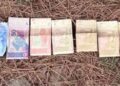 Pakistani Currency, Slip Carrying Pakistani Mobile Numbers Recovered During Search Operation in Poonch