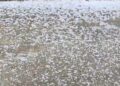 Hailstorm Hits Parts of District Anantnag