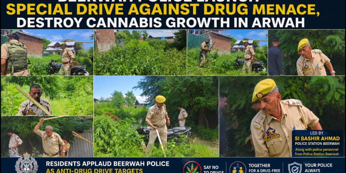 Beerwah Police Launch Special Drive Against Drug Menace, Destroy Cannabis Growth in Arwah