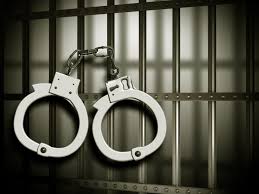Woman Booked Under NDPS Act as Anantnag Police Bust Drug Stockpile in Ashmuqam