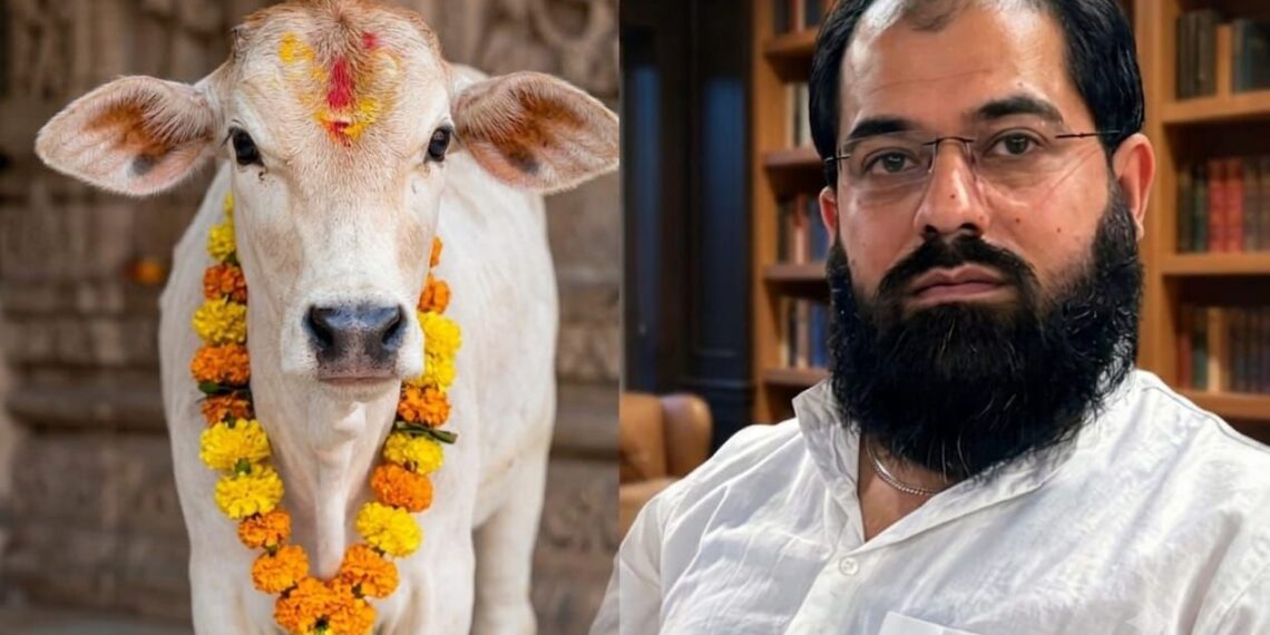 Cow Protection: A Question of Heritage, Consensus and National Identity