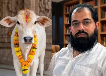 Cow Protection: A Question of Heritage, Consensus and National Identity