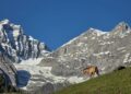 Reviving Kashmir Tourism After Pahalgam