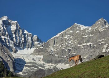 Reviving Kashmir Tourism After Pahalgam