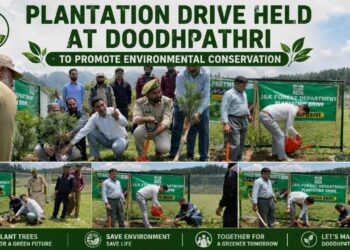 Plantation Drive Held at Doodhpathri to Promote Environmental Conservation