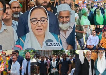 Statehood Will Return Through Constitutional Process, Not Jantar Mantar Protest: Dr Darakhshan Andrabi