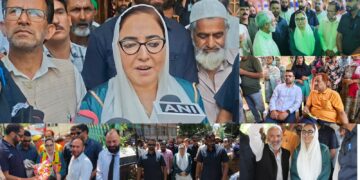 Statehood Will Return Through Constitutional Process, Not Jantar Mantar Protest: Dr Darakhshan Andrabi