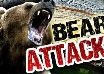 Elderly Man Mauled to Death by Bear in Darhal Rajouri