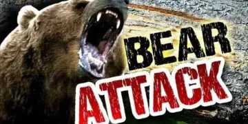 Elderly Man Mauled to Death by Bear in Darhal Rajouri
