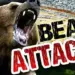 Elderly Man Mauled to Death by Bear in Darhal Rajouri