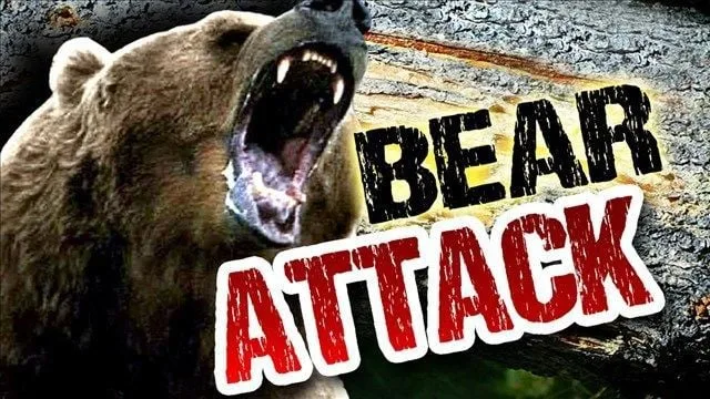 Elderly Man Mauled to Death by Bear in Darhal Rajouri