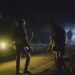 Gunshots Heard During Anti-Terror Operation in Shopian