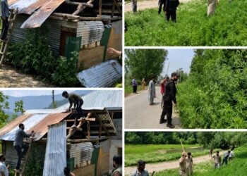 HANDWARA INITIATED DEMOLITION AND DESTRUCTION DRIVE OF WILD HAMP UNDER NASHA MUKT J&K ABHIYAN