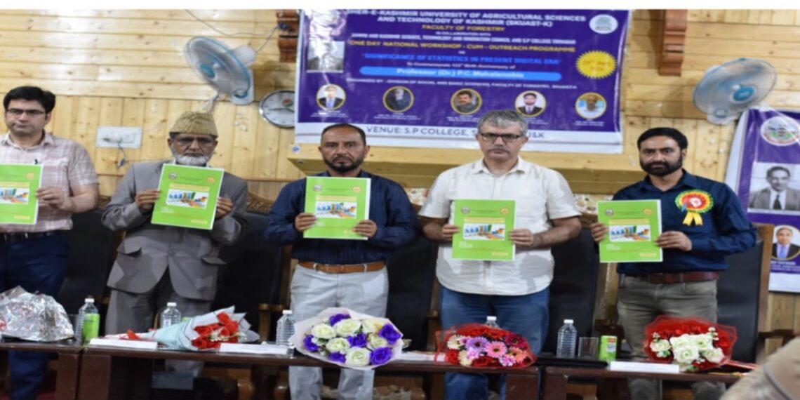One-Day National Workshop Highlights the Significance of Statistics in the Digital Era