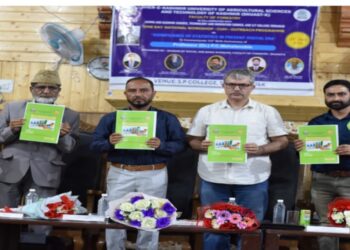 One-Day National Workshop Highlights the Significance of Statistics in the Digital Era
